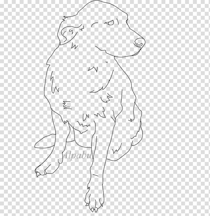 Dog breed Line art Sketch, golden lines transparent background PNG clipart