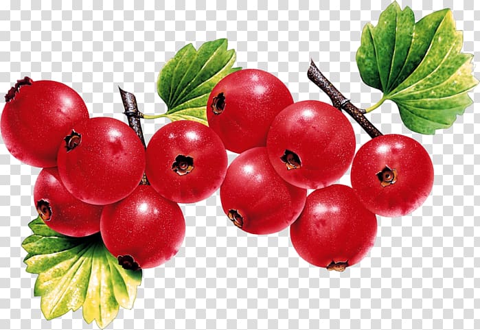Blackcurrant Redcurrant Fruit Strawberry, others transparent background PNG clipart