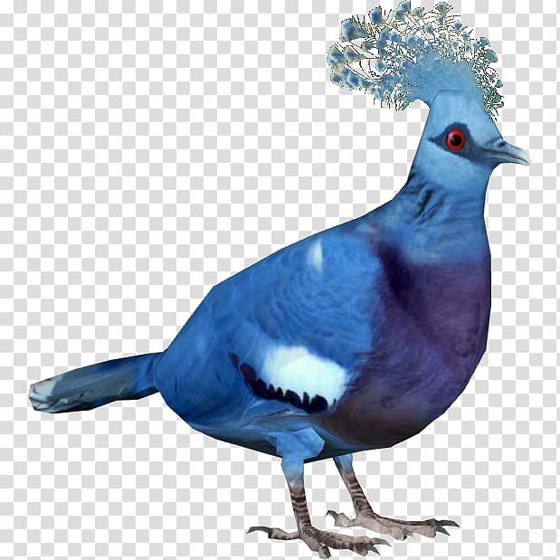 Zoo Tycoon 2: Endangered Species Zoo Tycoon 2: Extinct Animals Victoria crowned pigeon Western crowned pigeon Bird, pigeon transparent background PNG clipart