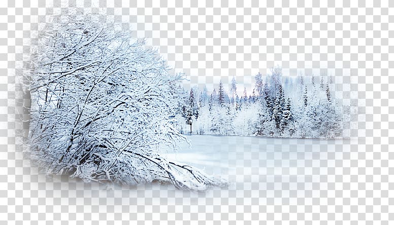 Winter Desktop Snow , snow scene transparent background PNG clipart