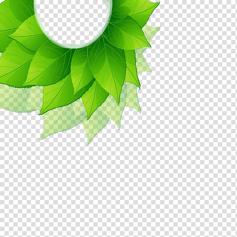 Leaf Green, Green leaf free clip transparent background PNG clipart