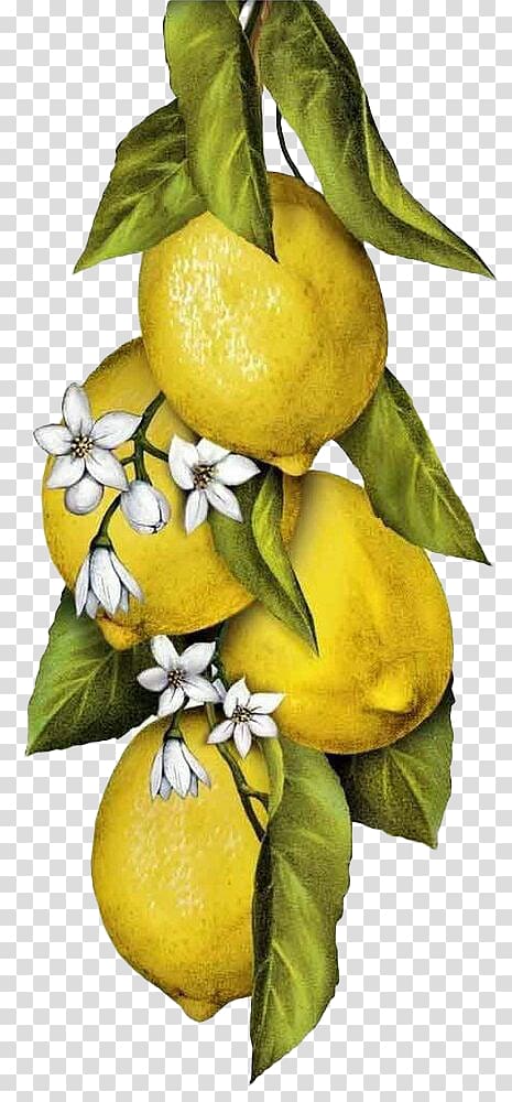 Towel Napkin Painting Flour sack Lemon, Fresh lemon transparent background PNG clipart