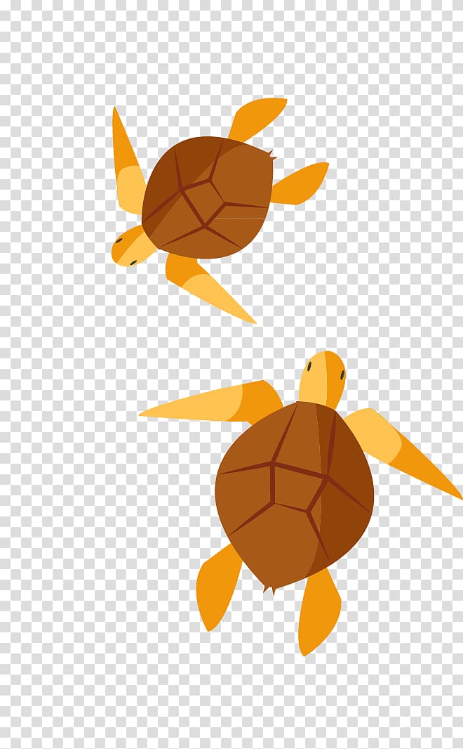 Turtle , painted turtle transparent background PNG clipart