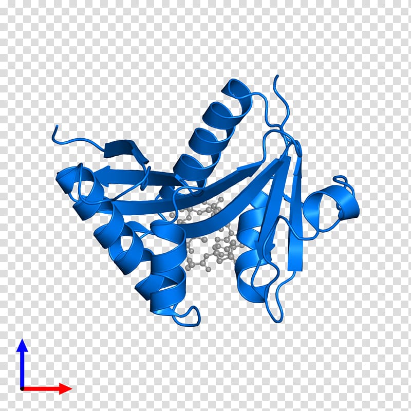 Protein Data Bank Subtilisin Structural Classification of Proteins database CATH database, others transparent background PNG clipart