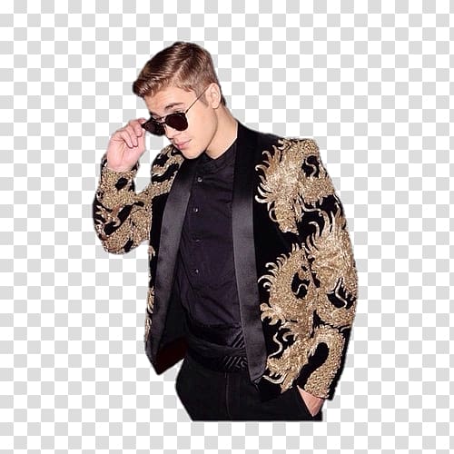 Purpose World Tour Celebrity Song, others transparent background PNG clipart
