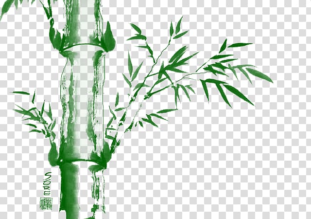 Bamboo , Stout bamboo transparent background PNG clipart