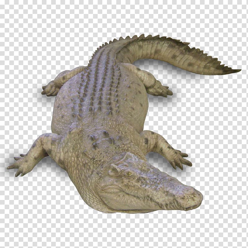 Nile crocodile Alligators Sculpture Animal, crocodile transparent background PNG clipart