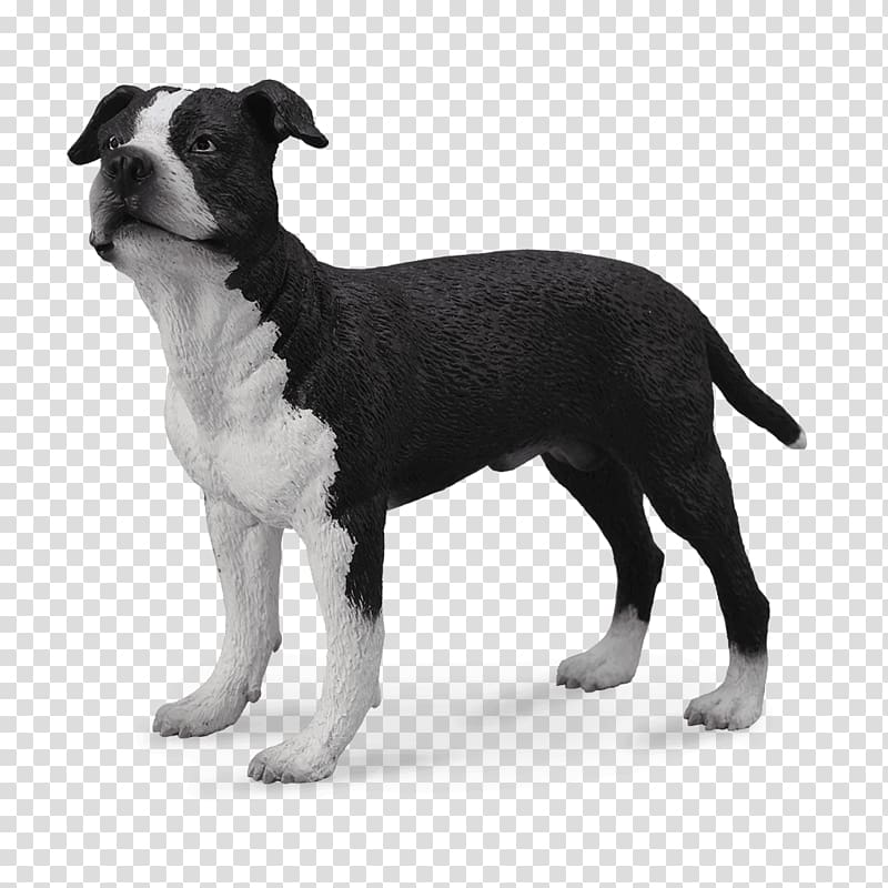 American Staffordshire Terrier Staffordshire Bull Terrier American Pit Bull Terrier, puppy transparent background PNG clipart