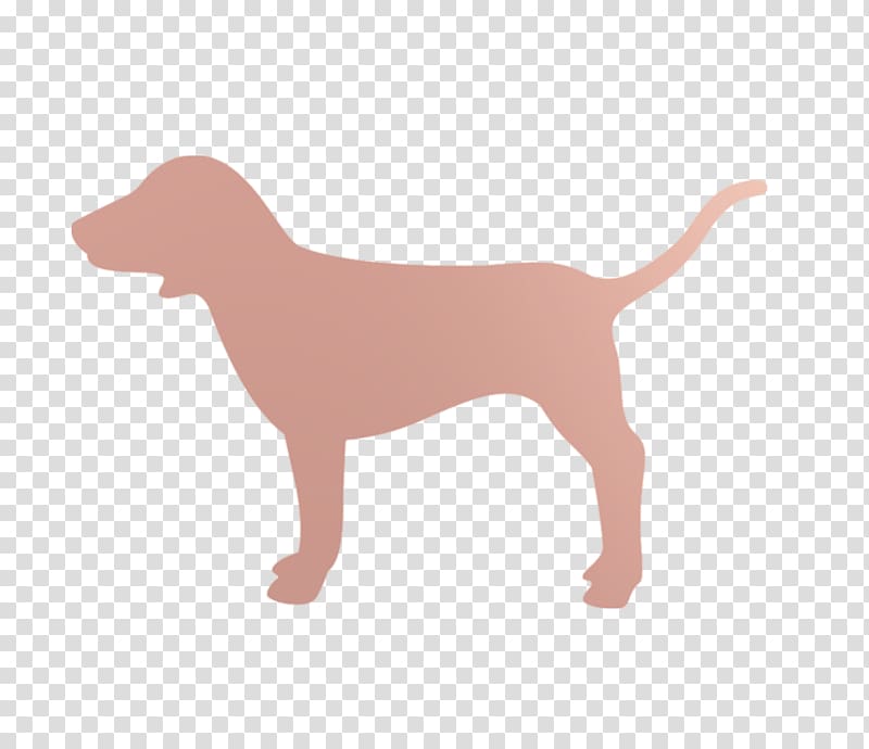 Pink Victoria's Secret Fashion Show 2013 Logo Dog, dog claw no button transparent background PNG clipart