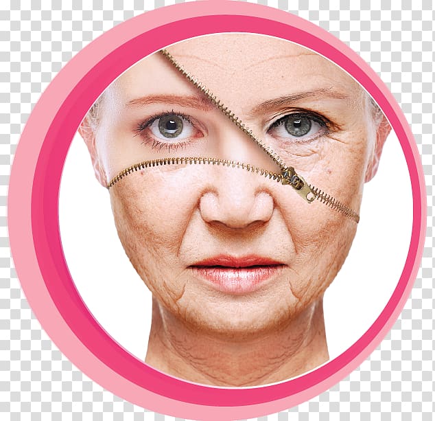 Anti-aging cream Life extension Ageing Skin care Wrinkle, health transparent background PNG clipart