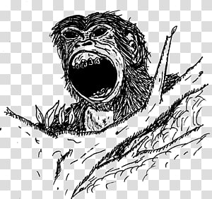 Carnivora Organ Sketch, others transparent background PNG clipart thumbnail