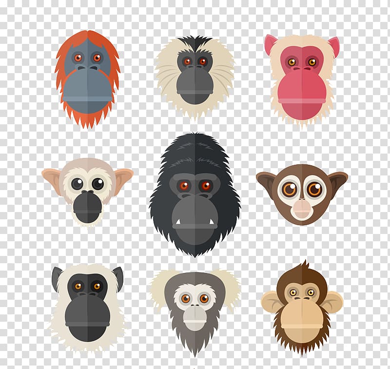 Primate Orangutan Chimpanzee Euclidean Monkey, Monkeys and apes transparent background PNG clipart