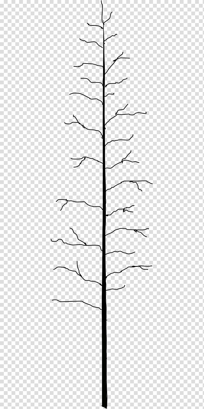 Twig Line Plant stem Leaf Angle, dead tree transparent background PNG clipart