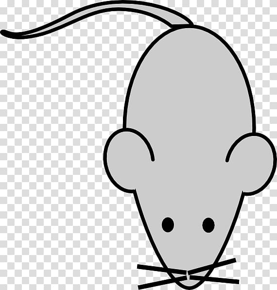 Big Guide to Drawing Cartoon Mice with Basic Shapes for Kids  How to Draw  Step by Step Drawing Tutorials