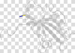 White Line art , design transparent background PNG clipart thumbnail