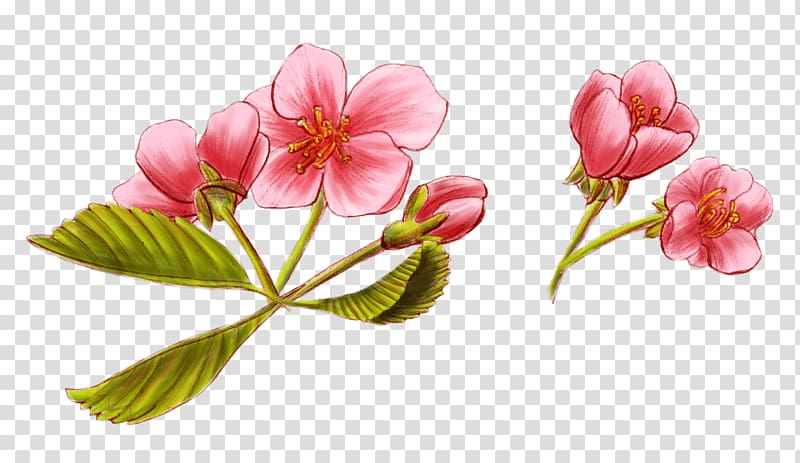 Wildflower Graphic novel Plant stem Petal, wildflowers watercolor transparent background PNG clipart