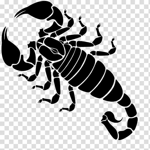 Scorpion Henna Mehndi Tattoo Constellation, Scorpio Zodiac transparent background PNG clipart