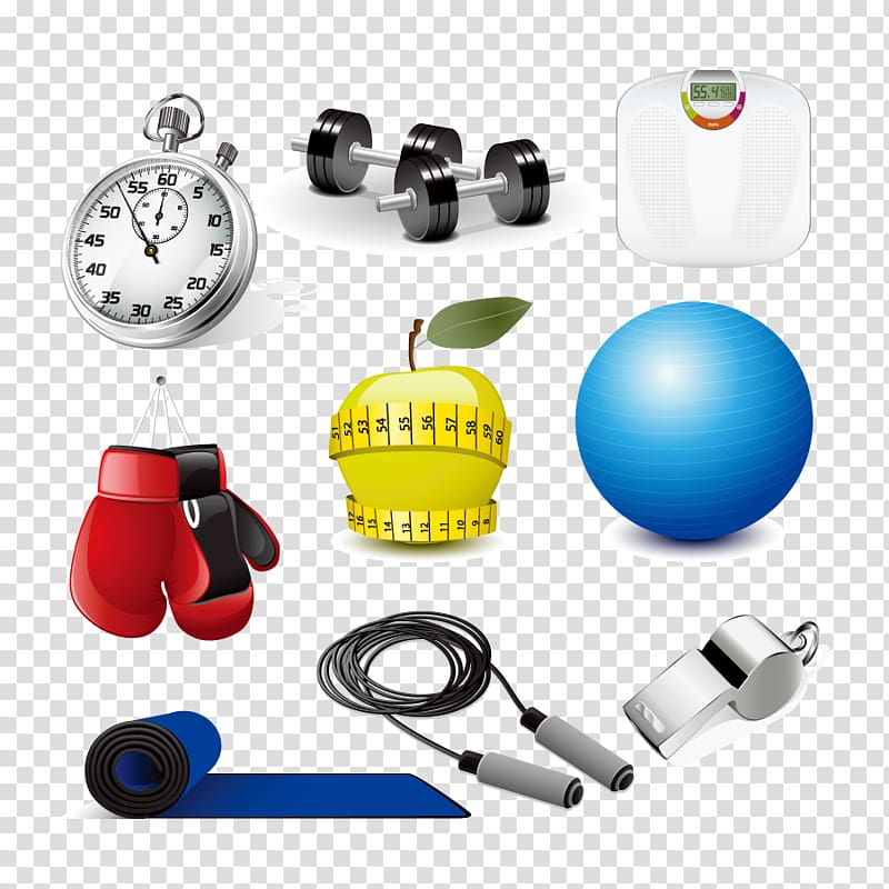 Exercise equipment Physical exercise Dumbbell , Sports Equipment transparent background PNG clipart