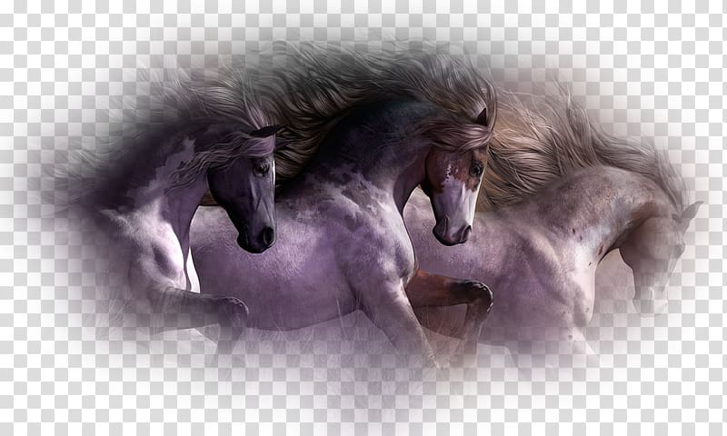Mustang Brumby Pony American Paint Horse Wild horse, mustang transparent background PNG clipart