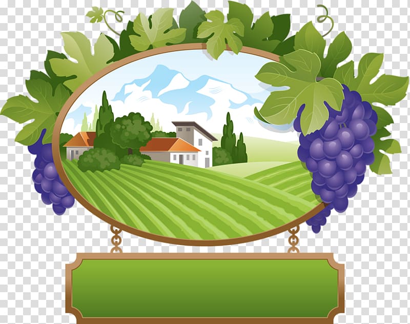 Common Grape Vine Desktop Raisin, grape transparent background PNG clipart