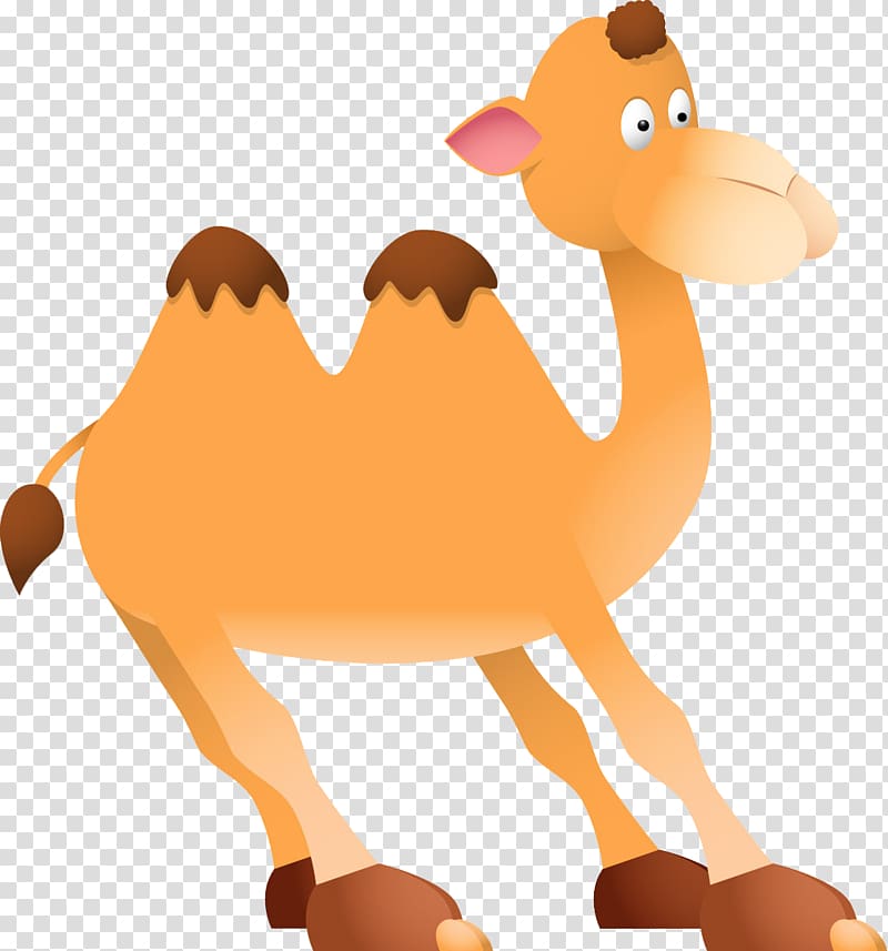 Camel Free content , Camel cartoon transparent background PNG clipart