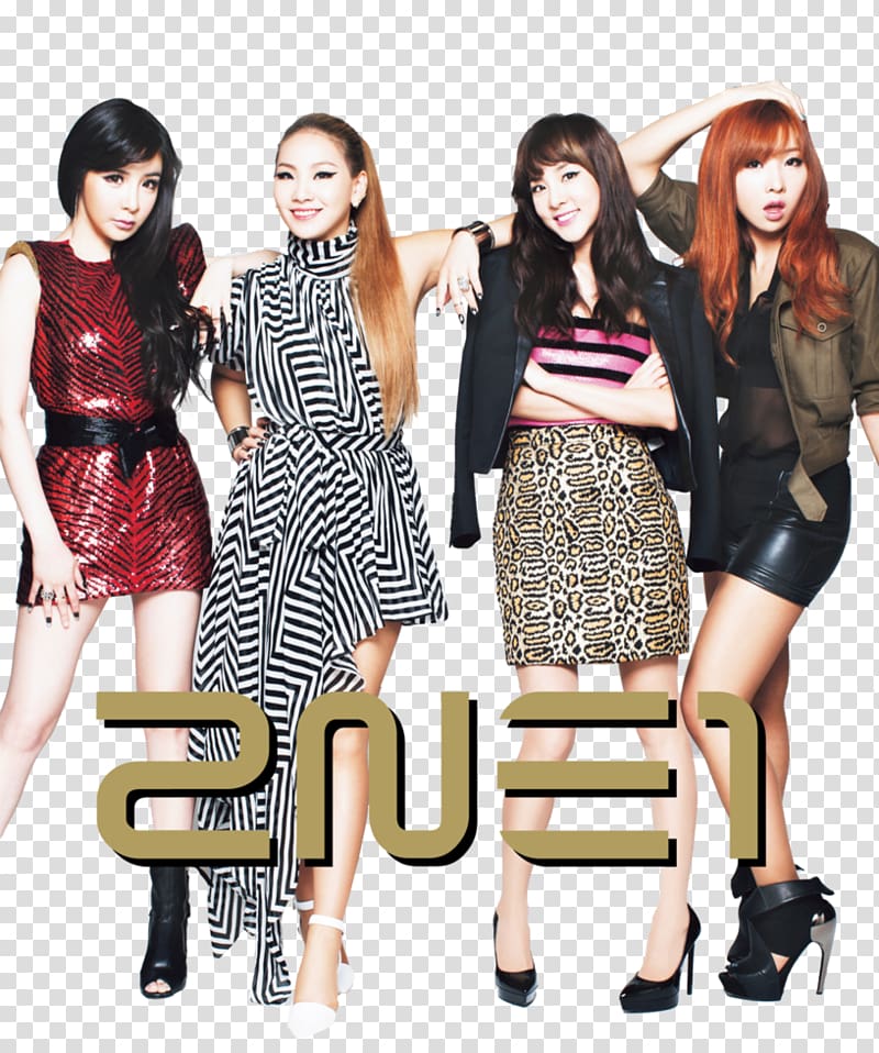 Fashion 2NE1 FIESTAR Female, others transparent background PNG clipart