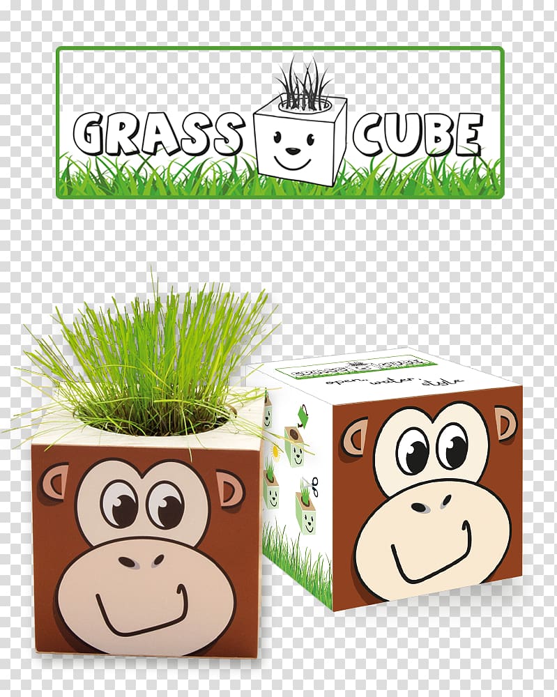 Cube Plant Mammal IdeeCadeau.fr Animal, cube transparent background PNG clipart