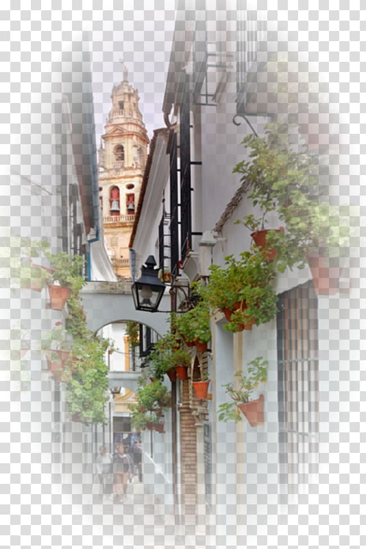 Calleja de las Flores Blog, others transparent background PNG clipart