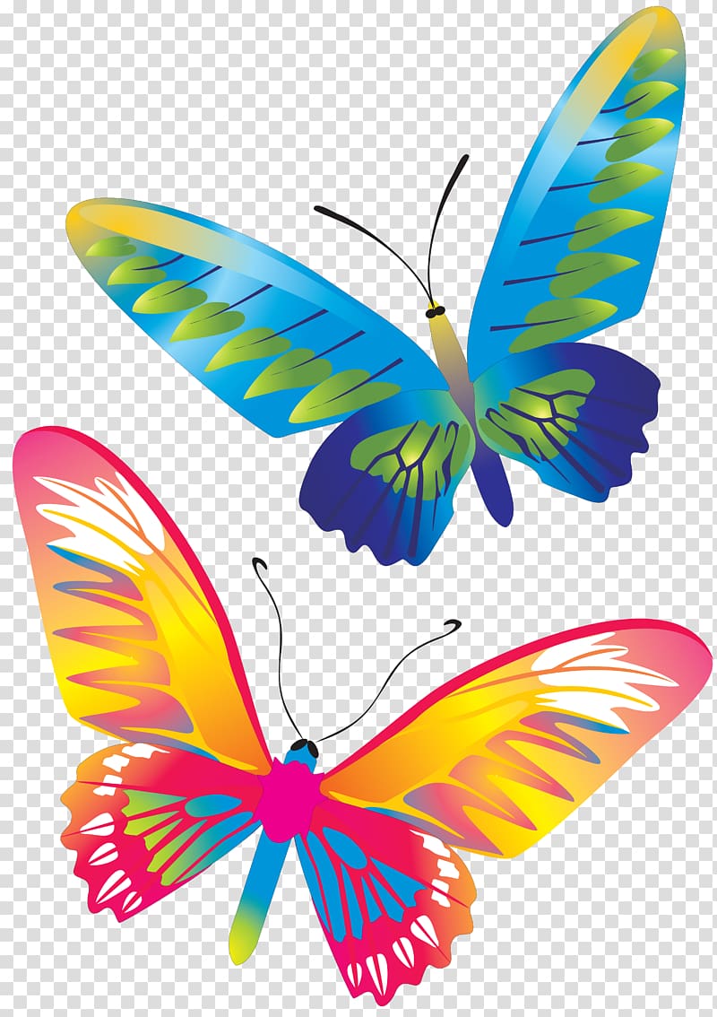 Butterfly CorelDRAW, butterfly transparent background PNG clipart