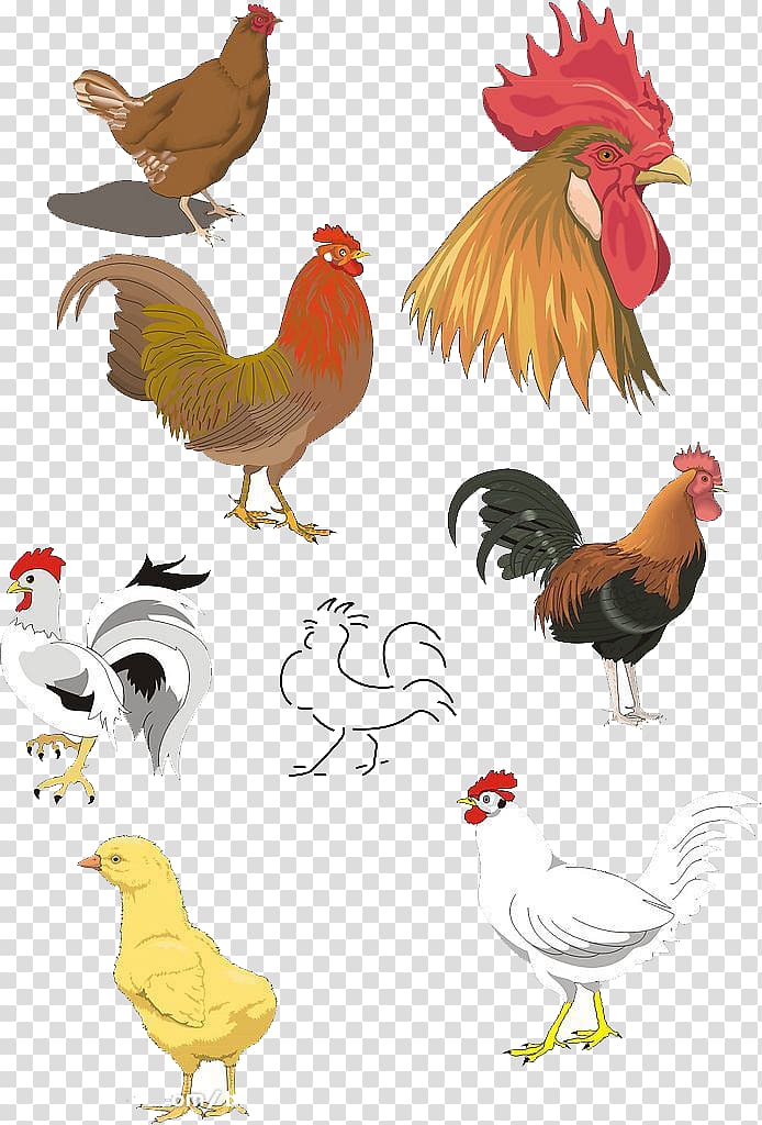 Chicken Rooster , cock transparent background PNG clipart
