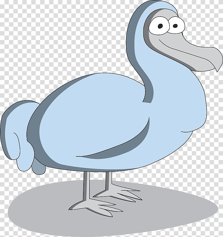 Duck Flightless bird Crane Seabird, duck transparent background PNG clipart