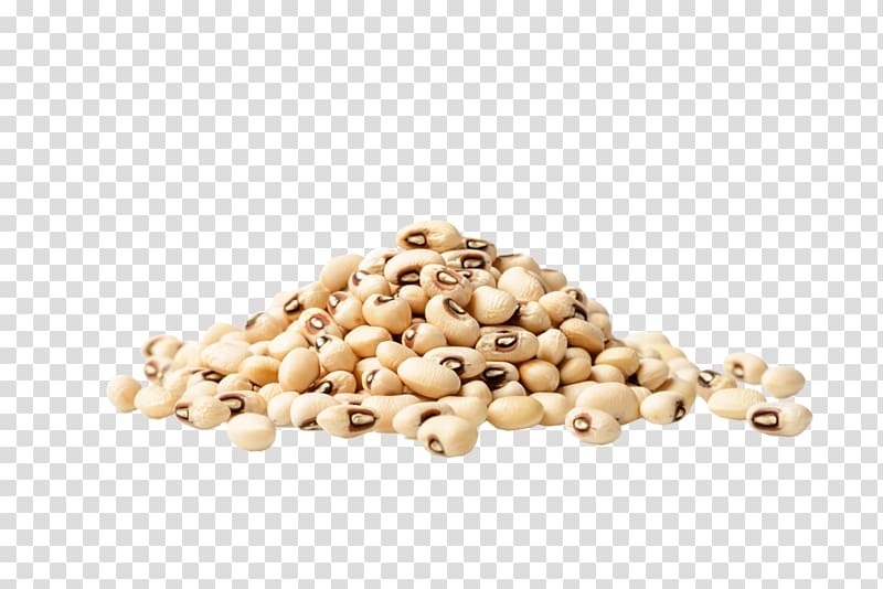 Black-eyed pea , pea transparent background PNG clipart