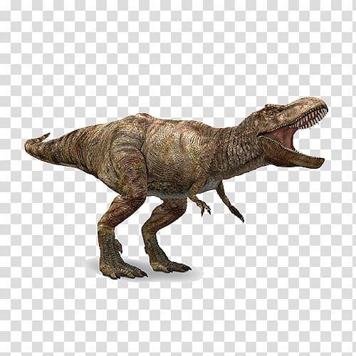 Tyrannosaurus Apatosaurus Spinosaurus Velociraptor Stegosaurus, Tyrannosaurus transparent background PNG clipart