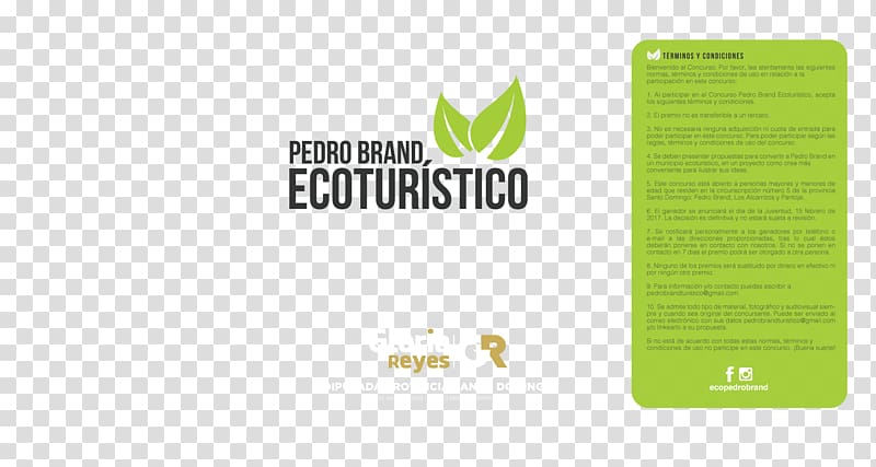 Logo Brand Product design Green, design transparent background PNG clipart