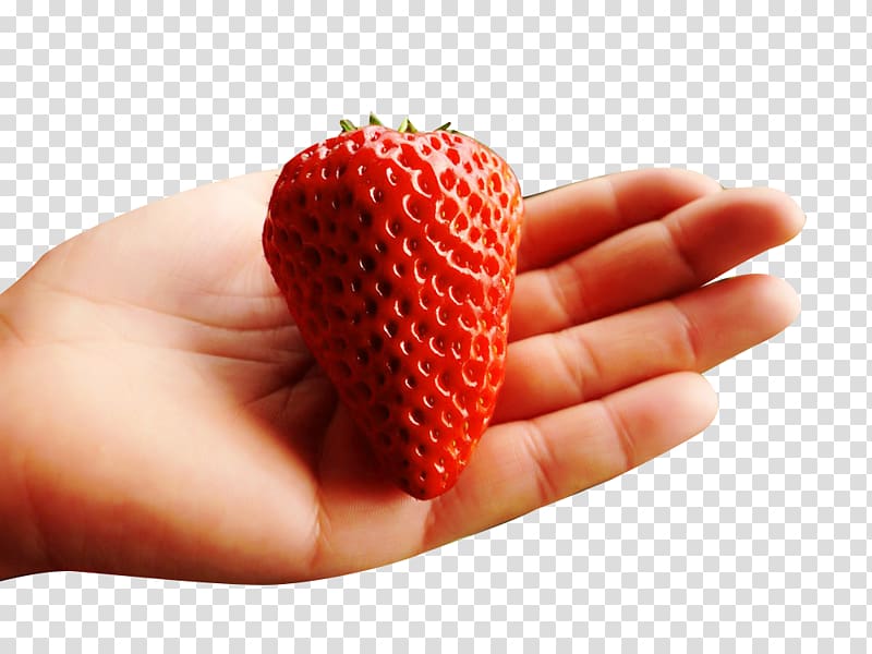 Strawberry Aedmaasikas Food, Hand picking strawberry picking material transparent background PNG clipart