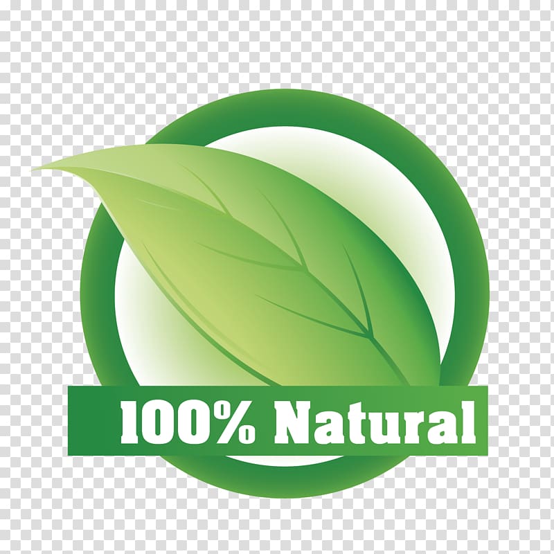 100 natural logo symbol transparent background Vector Image