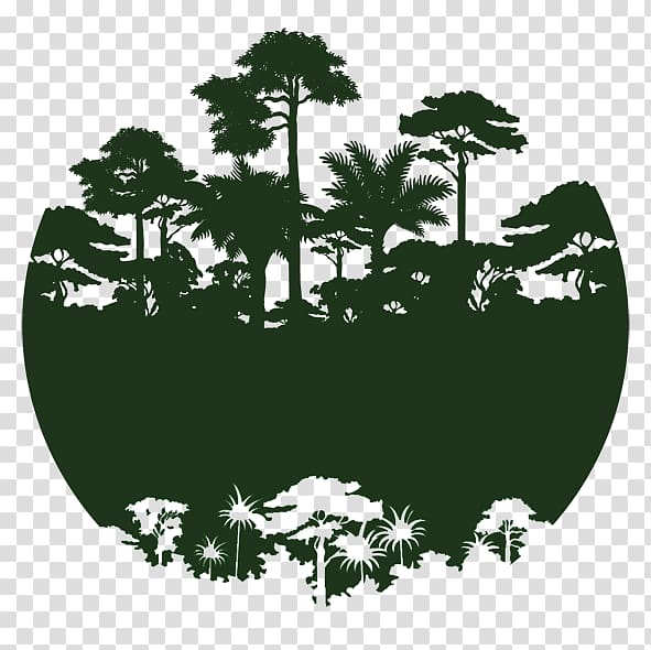 forest , Tropical rainforest Logo Jungle, mangrove swamp transparent background PNG clipart