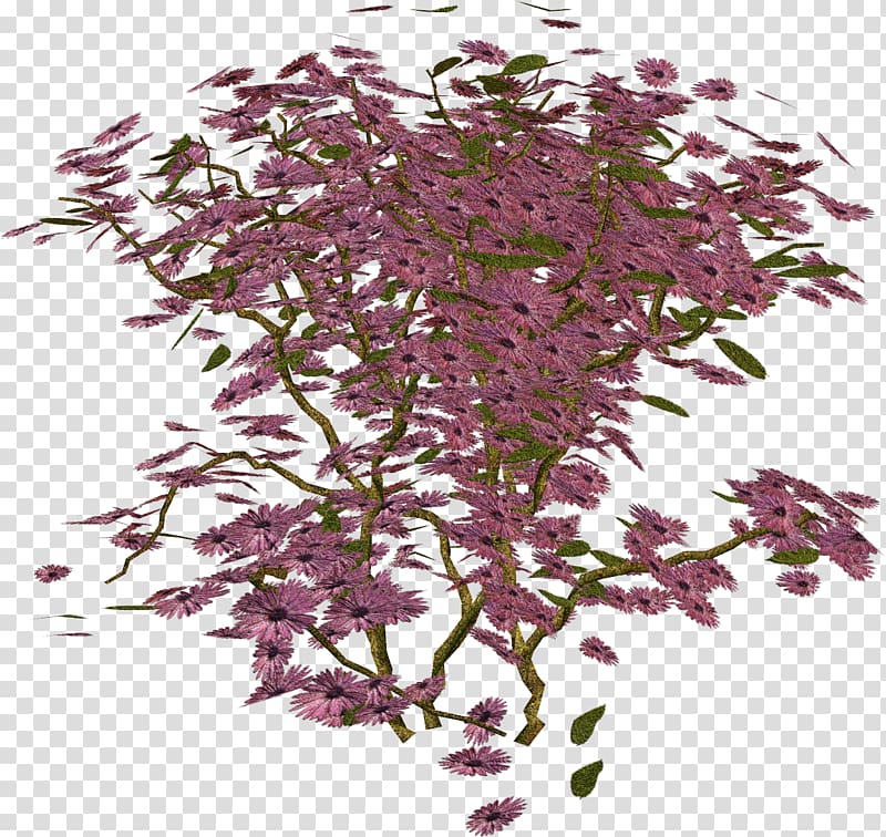 Twig Shrub Herb, others transparent background PNG clipart
