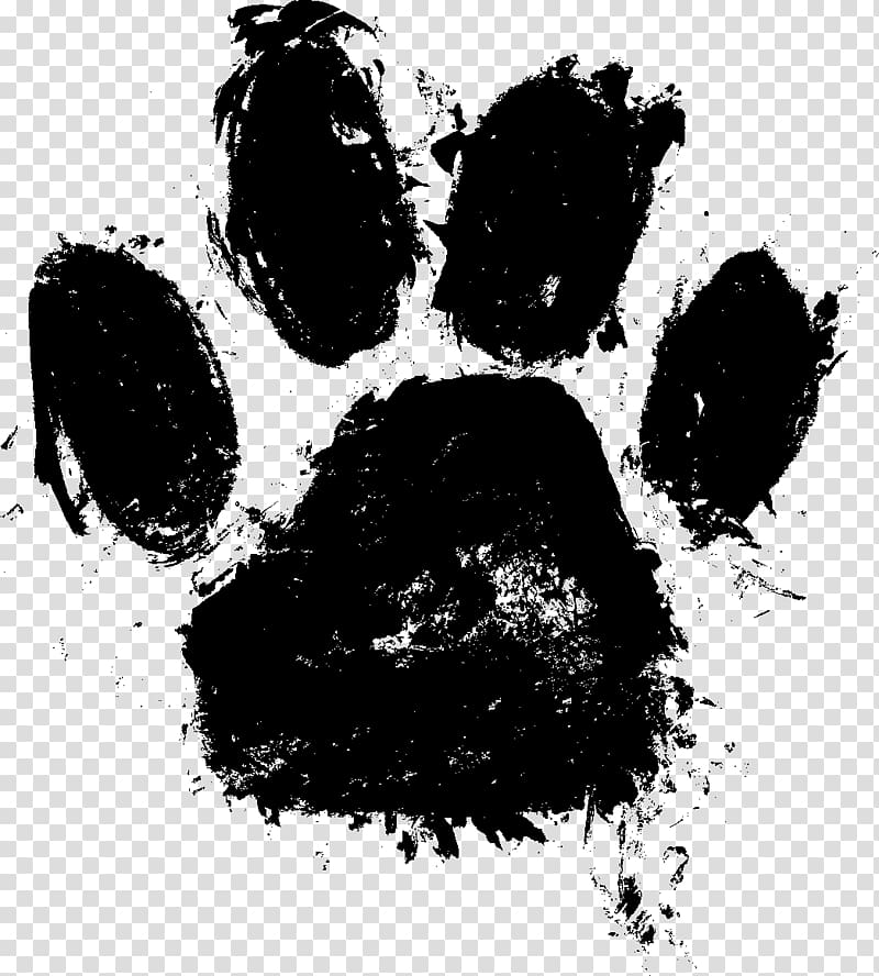 royalty free dog paw print image