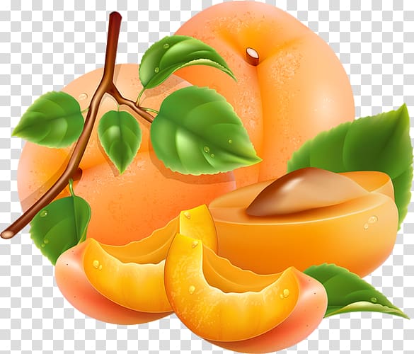 Peach Apricot, apricot transparent background PNG clipart