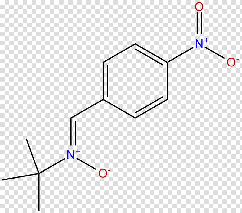 4-Chloromethcathinone Amino acid Amine Phenyl group, Tertbutylhydroquinone transparent background PNG clipart