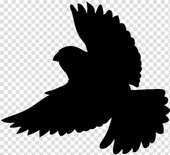 Bird Silhouette , Flying Bird Outline transparent background PNG clipart