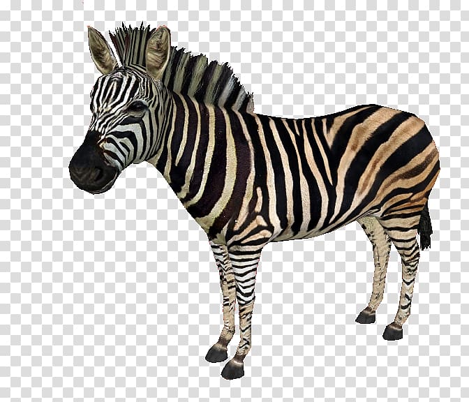 Zoo Tycoon 2: Extinct Animals Quagga Horses Chapman\'s zebra, zebra transparent background PNG clipart