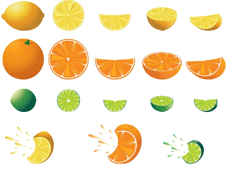 Lemon Fruit tree , Of Citrus Fruits transparent background PNG clipart