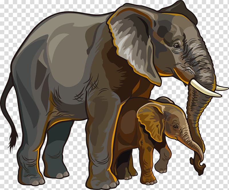 two gray elephants , African elephant Illustration, elephant and baby elephant transparent background PNG clipart