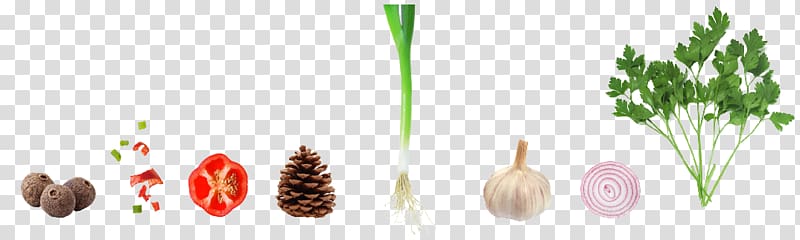 Vegetable Garlic Capsicum annuum Onion, Vegetable material transparent background PNG clipart