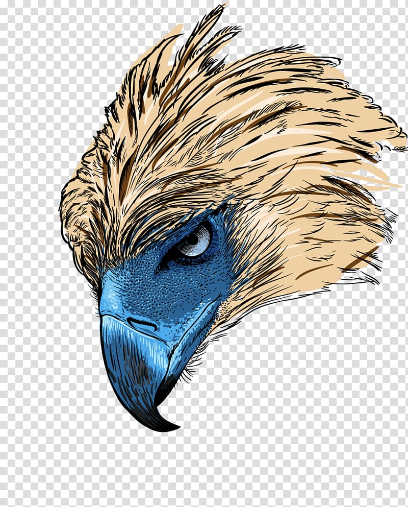 Philippines Philippine Eagle Bald Eagle Bird of prey, cartoon eagle transparent background PNG clipart