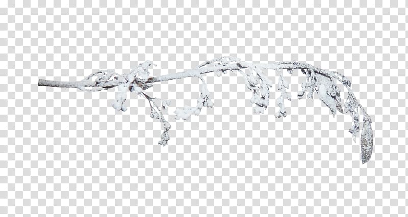 Snow Branch , Winter branch material transparent background PNG clipart