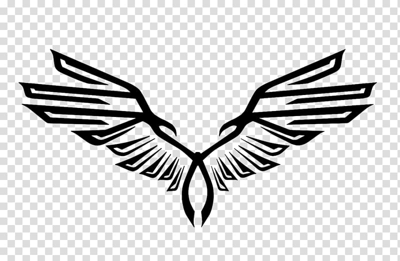 Eagle Png Logo Free Transparent Png Logos