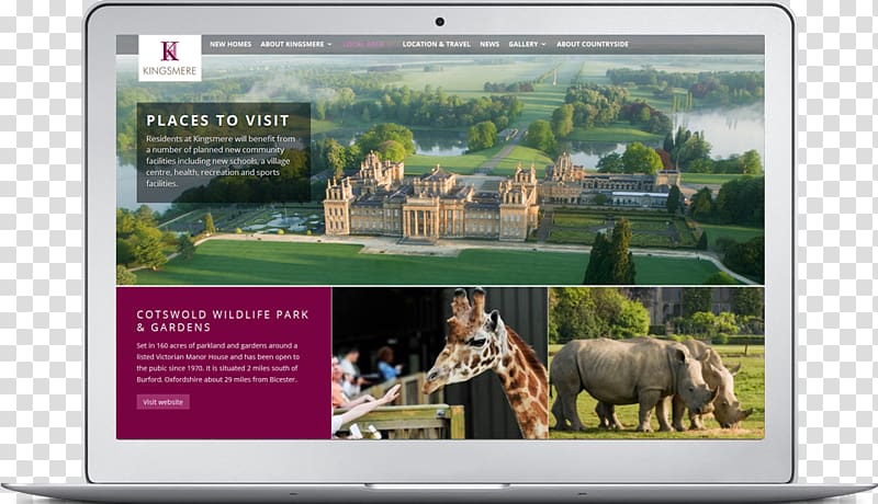 Place-making: The Art of Capability Brown Horse Display advertising Multimedia, horse transparent background PNG clipart